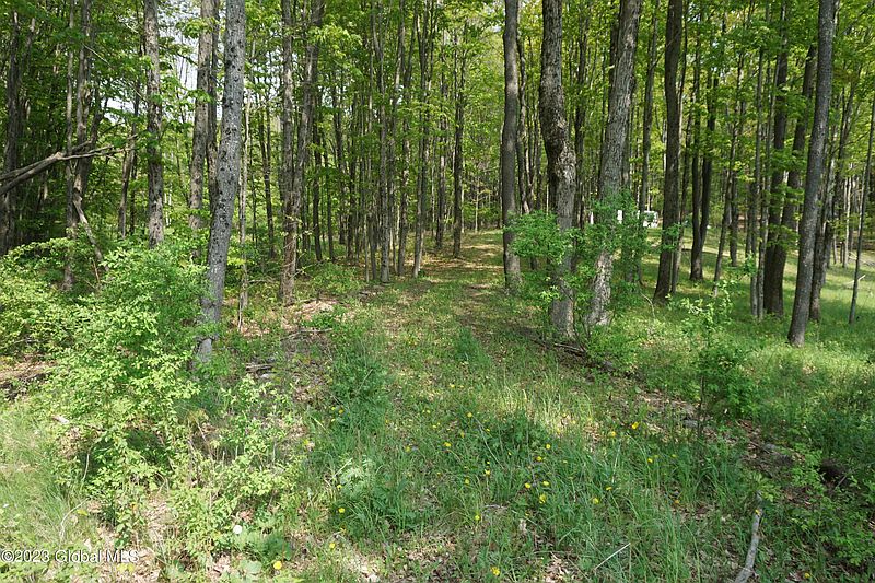 2nd image of 89 Thunder Hill Road