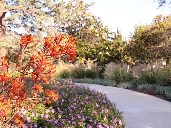 Lush landscaping with all maintenance included