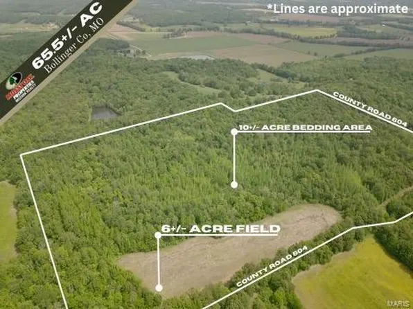 0 Bcr 604, Advance, MO 63730