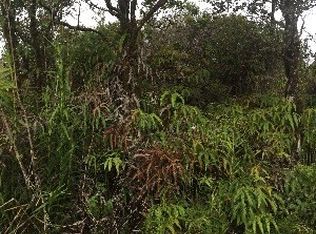 11-3223 Mailenani Rd LOT 23, Volcano, HI 96785