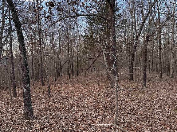 2nd image of County Road 470