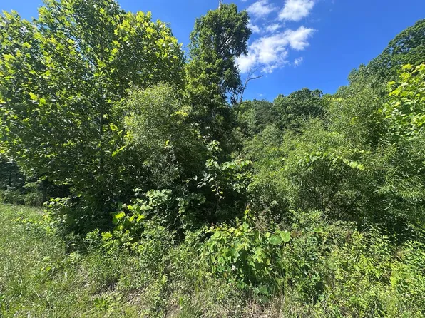 1020 Tomahawk Rd, Jamestown, TN 38556