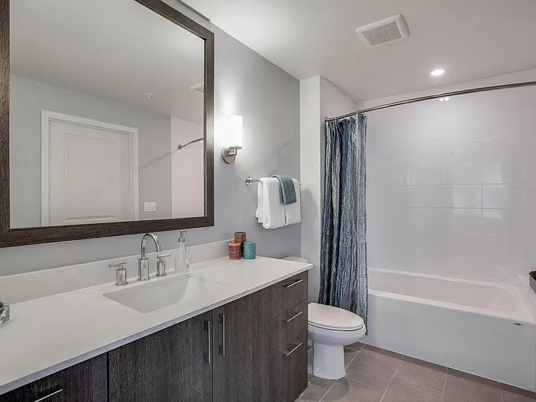 Spa-inspired bathrooms with tub/shower