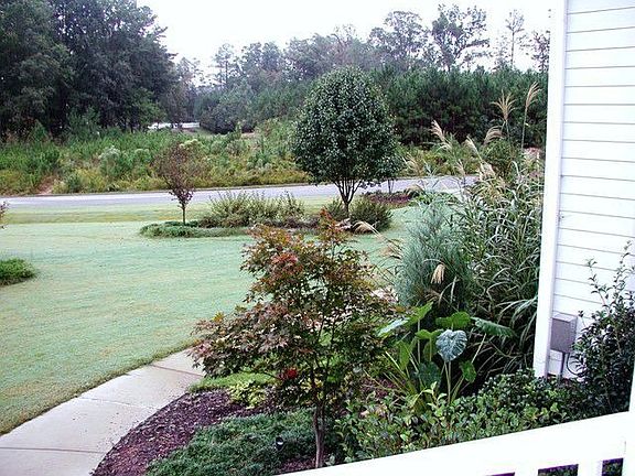 Beautiful landscaping