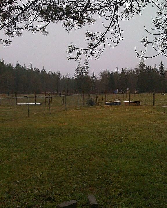 fenced and cross fenced