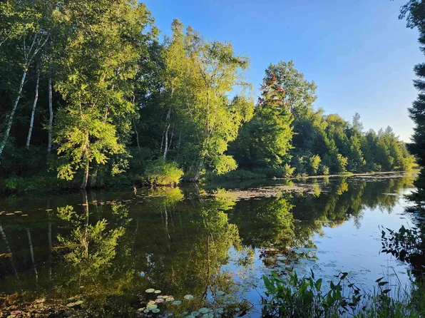 8757 W Eight Point Lake Rd, Lake, MI 48632