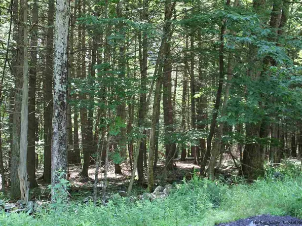 7 Oakwood Circle, Stone Ridge, NY 12484