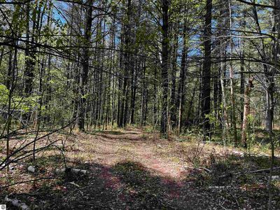833 N Briggs Rd, Twining, MI, 48766
