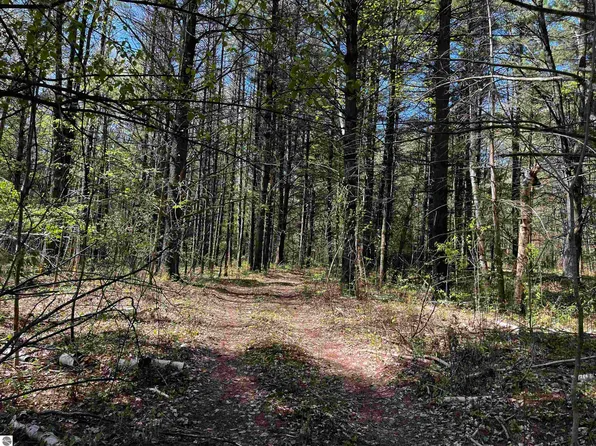 833 N Briggs Rd, Twining, MI 48766