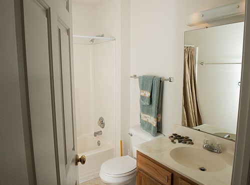 5th image of 15 S Shafer St APT 1104