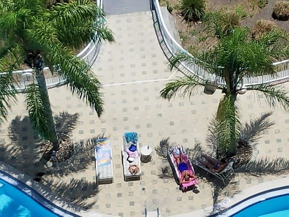 3rd image of 13415 Blue Heron Beach Dr #1509
