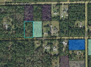 5858 Chestnut Ave, Bunnell, FL 32110