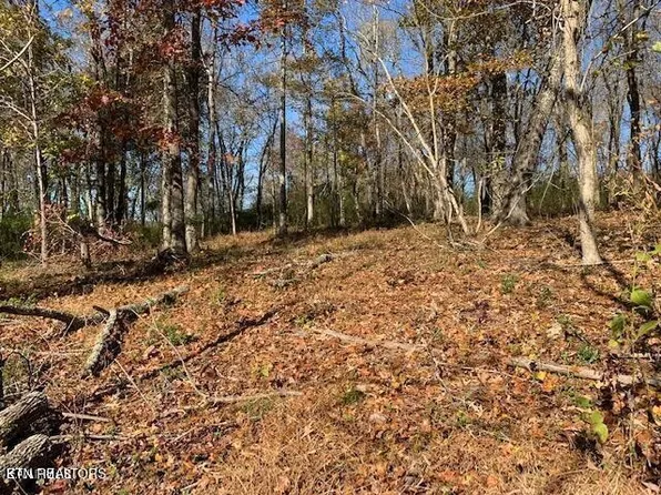 0 E Shore Dr Lot 197, Rockwood, TN 37854
