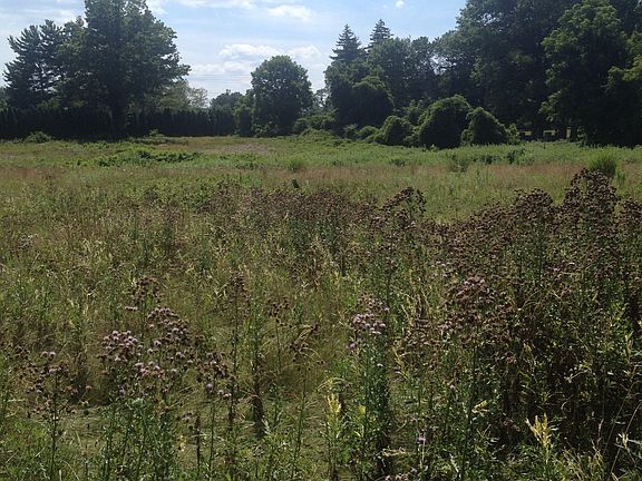 view from front of porch