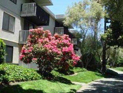 1st image of 2130 Shelter Creek Ln #2130