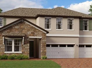 22058 Nebula Way, Land O Lakes, FL 34637