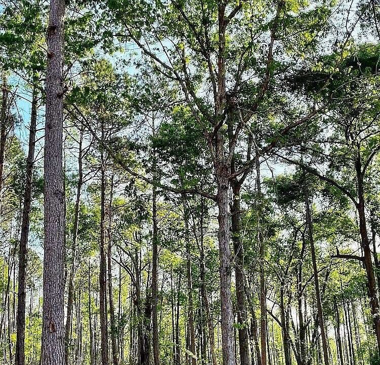 1st image of 1660 Watkins Farm Rd