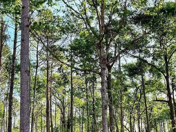 1660 Watkins Farm Rd, Nicholson, GA 30565