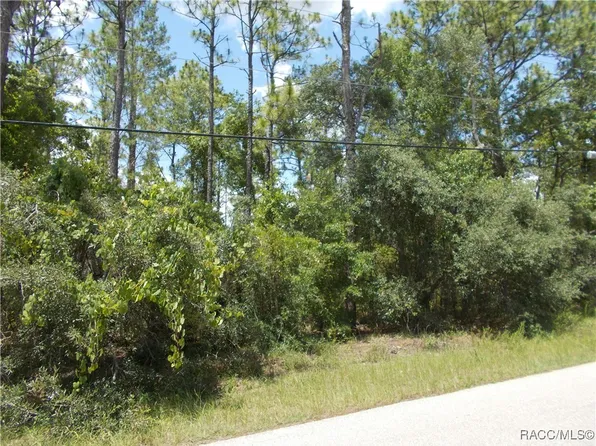 1725 W Union St, Hernando, FL 34442