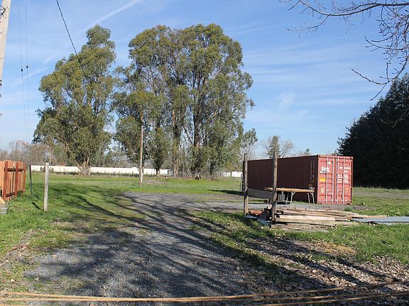 land goes to eucalyptus trees