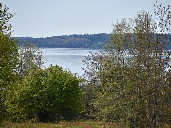 DSC_0035