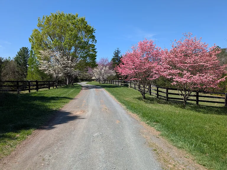 The driveway really comes to life during the spring! Cows graze in the pastures on right and left.