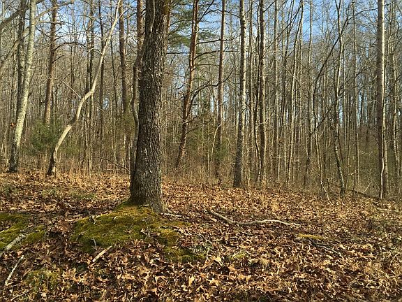 4th image of 0 County Road 263 Lot 11