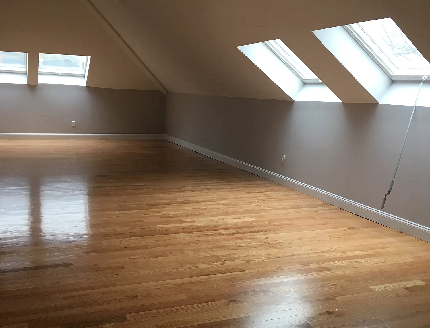 36 Abbott Street — Photo 2