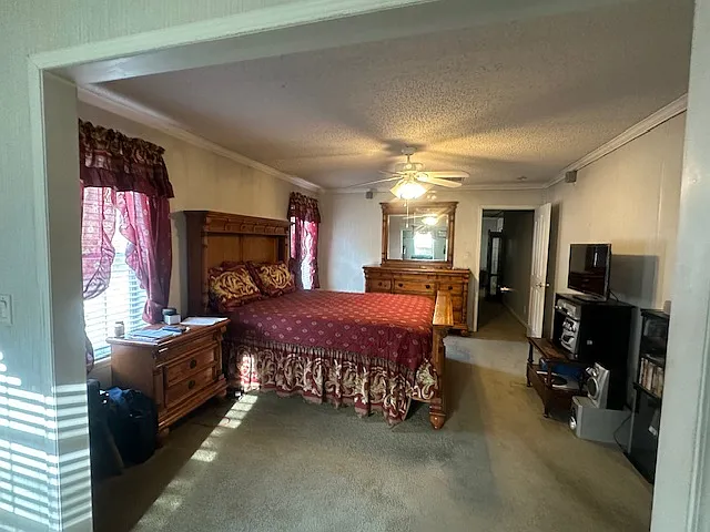 29 Mike Dr — Photo 21