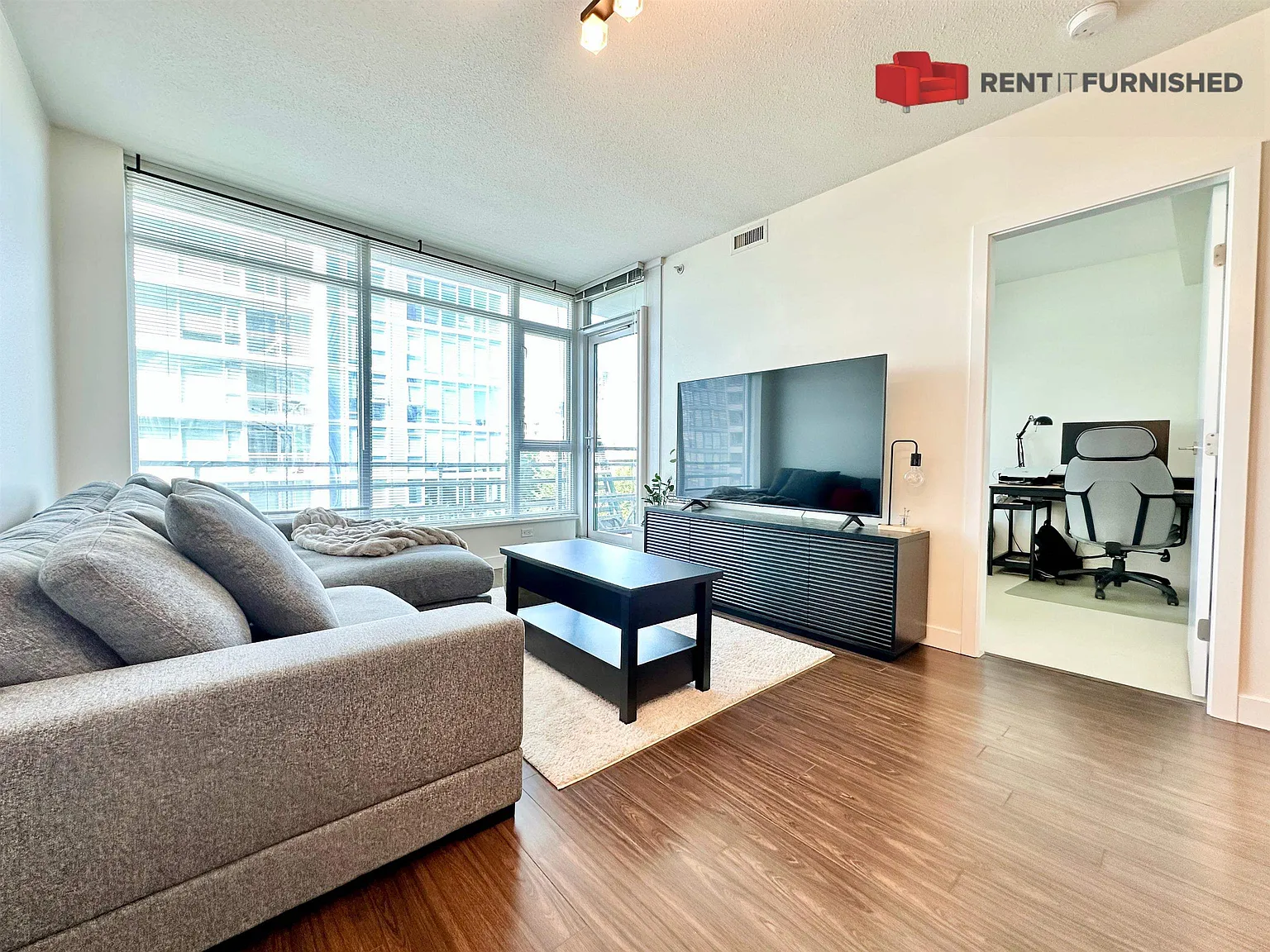 2 bed, 732 sqft, $2,995 — Photo 3