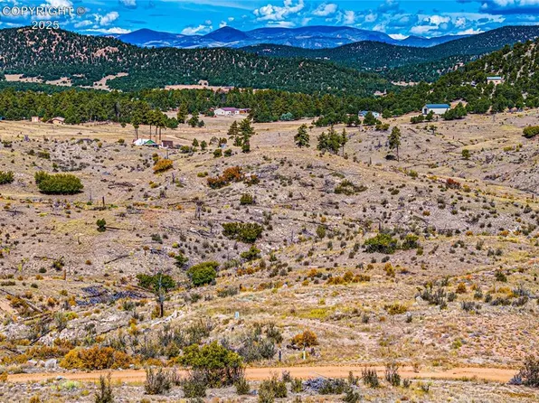 701 Shannon Trl, Cotopaxi, CO 81223