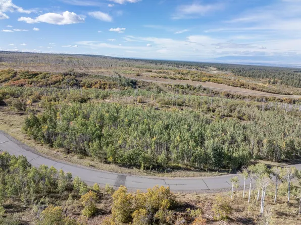 451 Birdsong Ln, Montrose, CO 81403