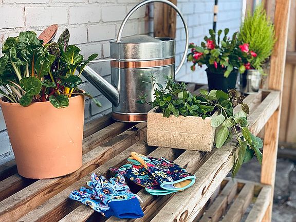 Private Greenhouse