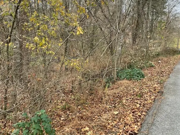 Duty Dr, Bluff City, TN 37618