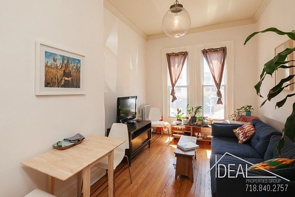 1st image of 537 Lafayette Ave