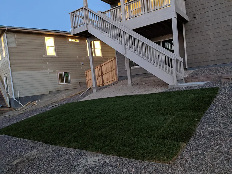 Backyard new sod