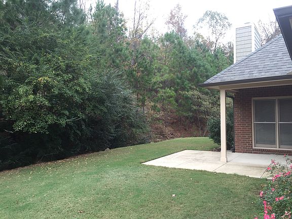 Wooded backyard
