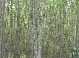 Xxx Southwest Shores Trl, Ely, MN 55731