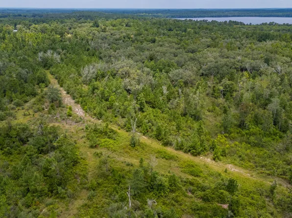 100 Acre Union Hill Rd, Vernon, FL 32462