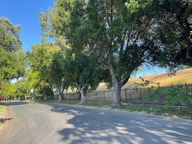 993 Glide Ferry Way — Photo 11