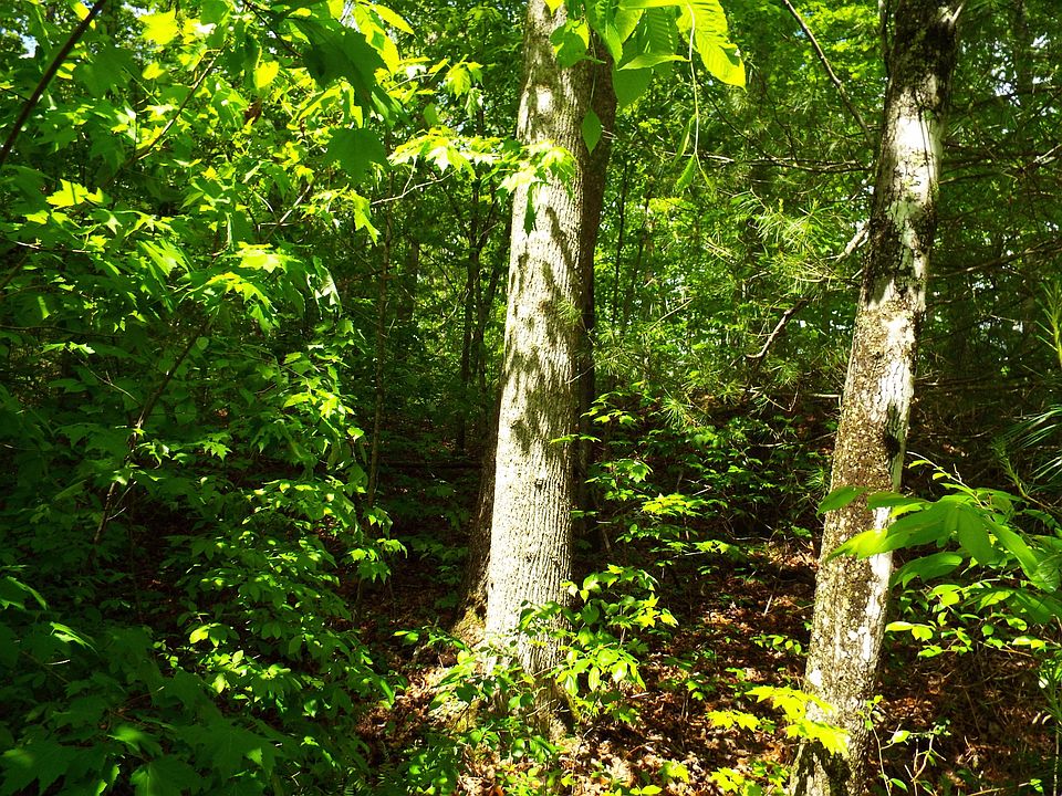 1st image of Cherokee Trl