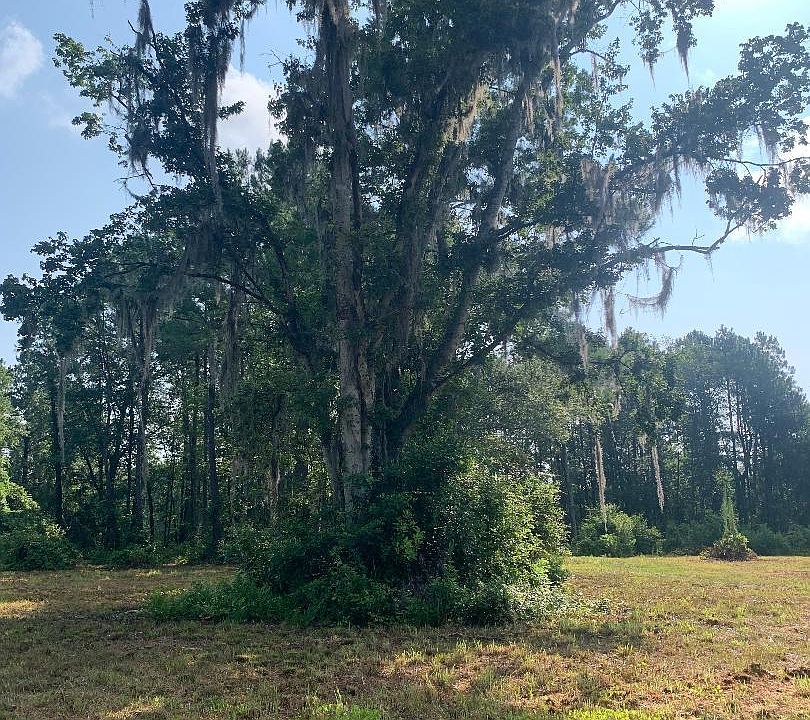 1st image of 5181 COUNTY ROAD 218