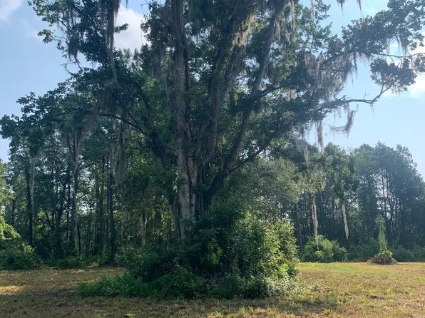 5181 COUNTY ROAD 218, Middleburg, FL 32068