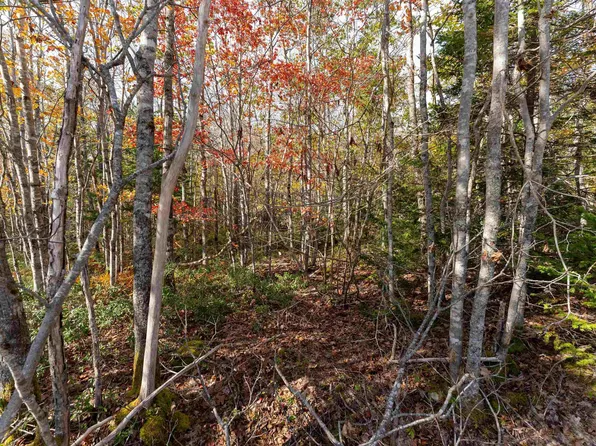 Morton Dr #64, Queens, NS B0T 1K0