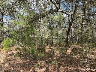 3rd image of 2910 Collins St