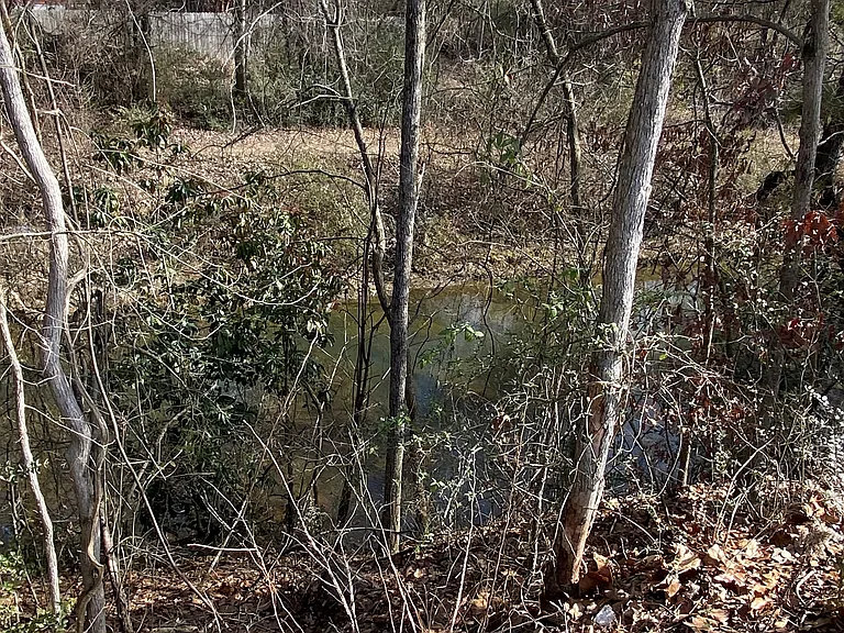 815 Brookside Dr — Photo 22