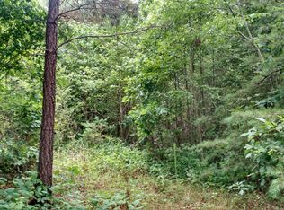 E Mize Rd, Demorest, GA 30535