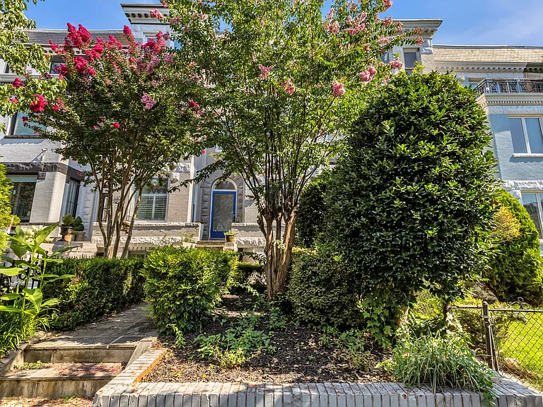 1207 Girard St NW #2 — Photo 36