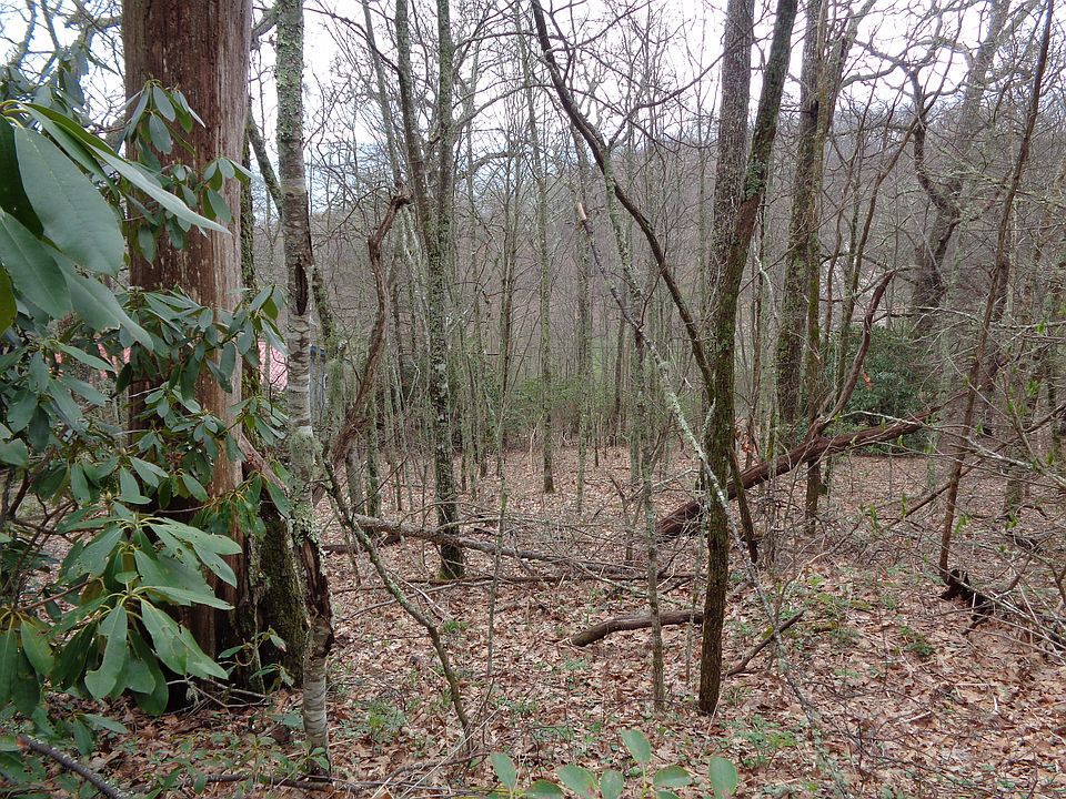 1st image of Eagles Nest Road