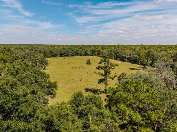 480 NE 242 Ave, Old Town, FL 32680